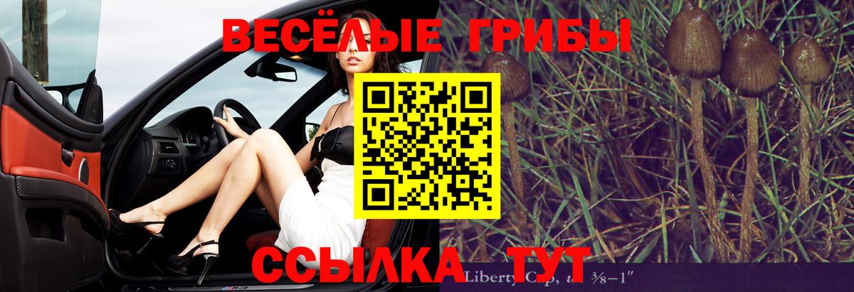 Псилоцибиновые грибы Magic Shrooms  наркота  Топки  Вход с VPN 